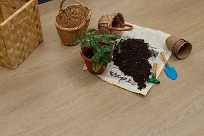 Кварцвиниловая плитка SPC Steinholz Element Баум