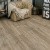 Кварцвиниловая плитка LVT Alpine Floor GRAND SEQUOIA Eco 11-902 Карите